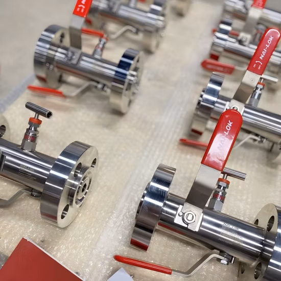 ステンレス鋼 1/2 インチ NPT 雄ネジ - 雌ネジ 2 バルブ マニホールド 6000psi